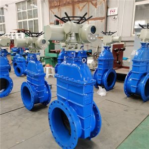電動(dòng)閘閥Z941h -64 DN500（石化行業(yè)、煉油廠